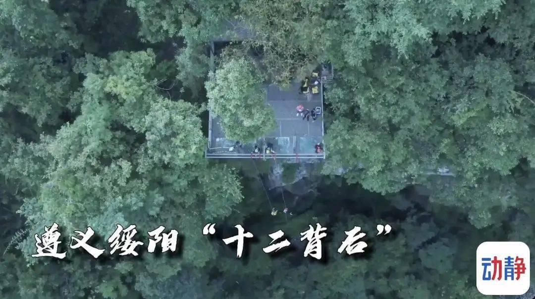 川渝两地携手守护江河  287万尾珍稀鱼苗投放嘉陵江
